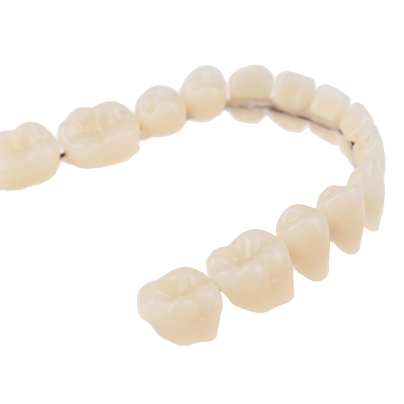 Resin Teeth Denture Upper Lowe - Teeth Whitening Mask ulasan dan harga