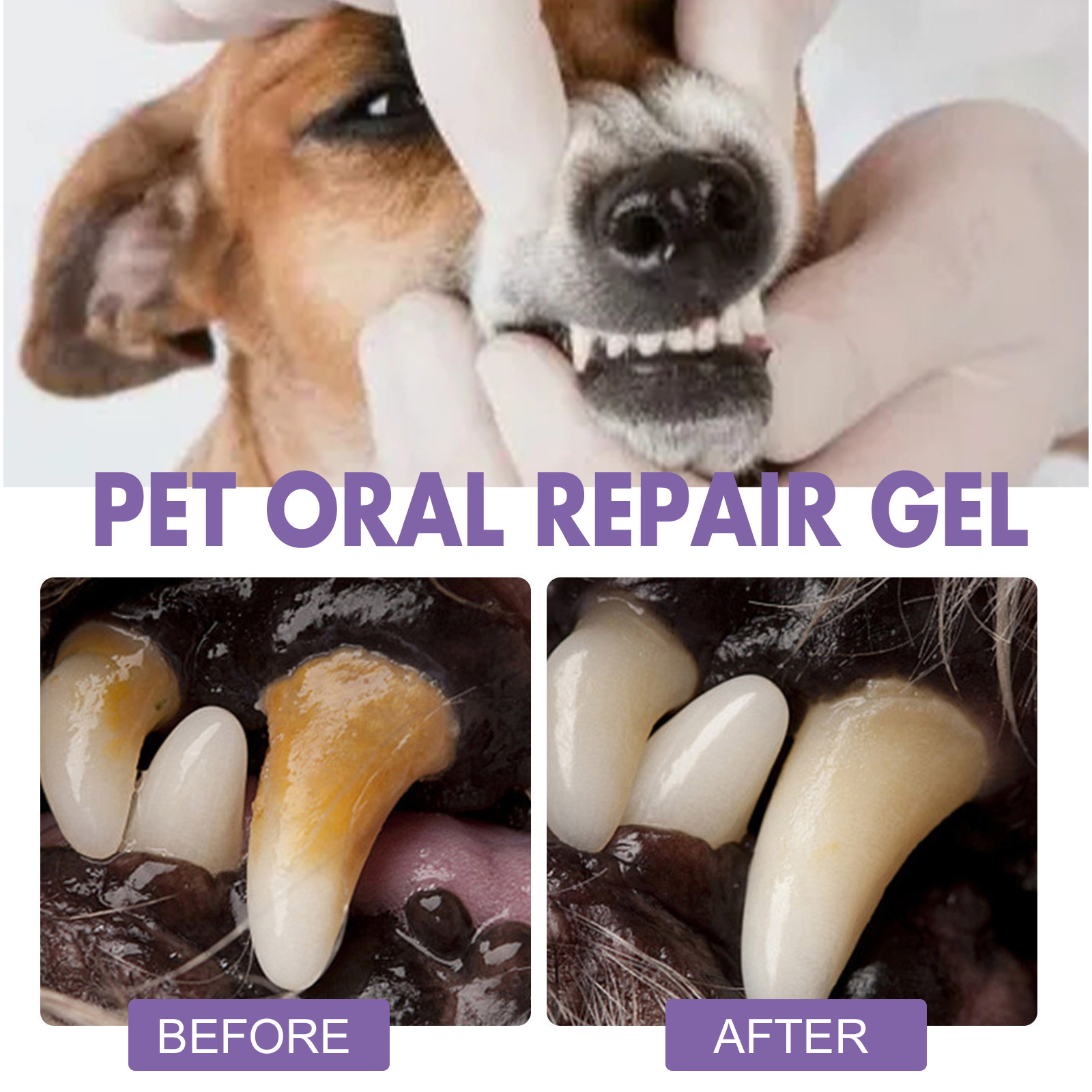 Pet Oral Repair Gel Puppy Tart - Teeth Whitening With Peroxide ulasan dan harga