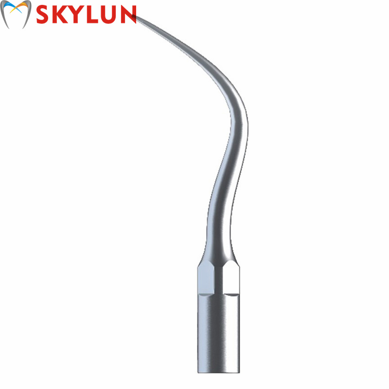 5PCS P4 Dental Ultrasonic Scal - Teeth Whitening Dental ulasan dan harga