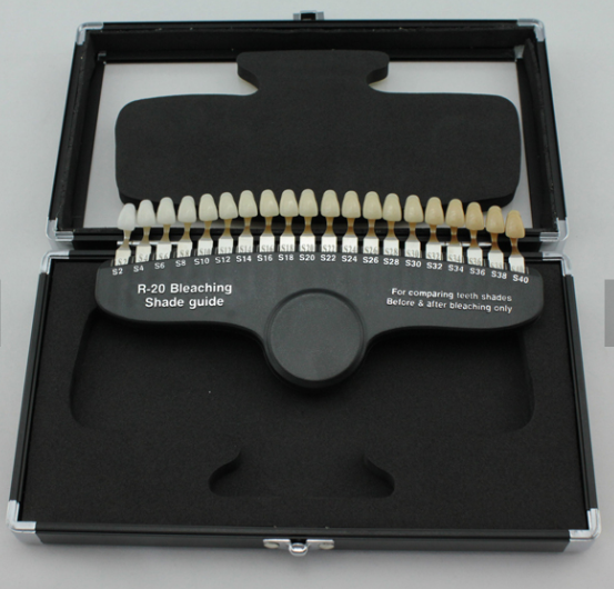 Professional 20 Colors Dental  - Teeth Whitening Dental ulasan dan harga