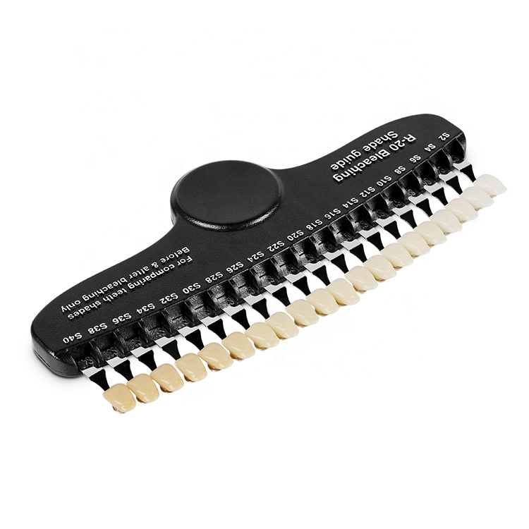 Professional 20 Colors Dental  - Teeth Whitening Dental ulasan dan harga